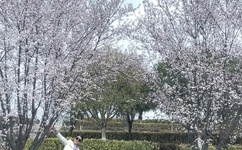 再深点灬舒服灬太大了霍水